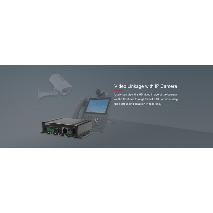 Fanvil PA3 puerta de enlace/controlador 10, 100 mbit/s