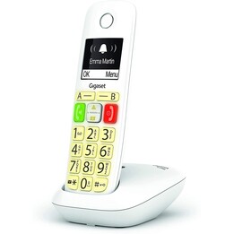 Siemens Gigaset E290 White