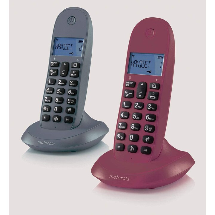 Motorola C1001L Duo Gray