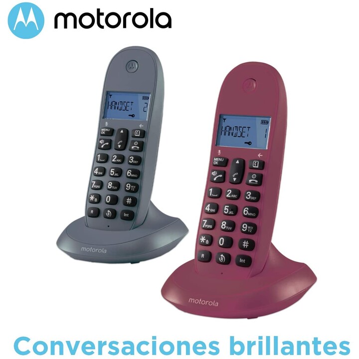 Motorola C1001L Duo Gray