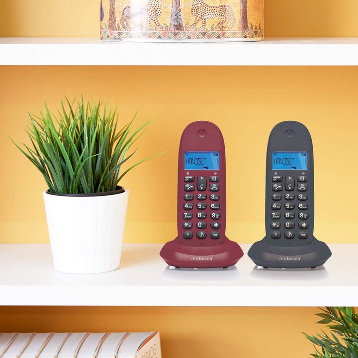 Motorola C1001L Duo Gray