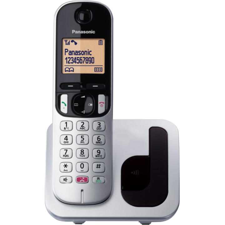 Panasonic Cordless Phone KX-TGC250SPS/ Silver