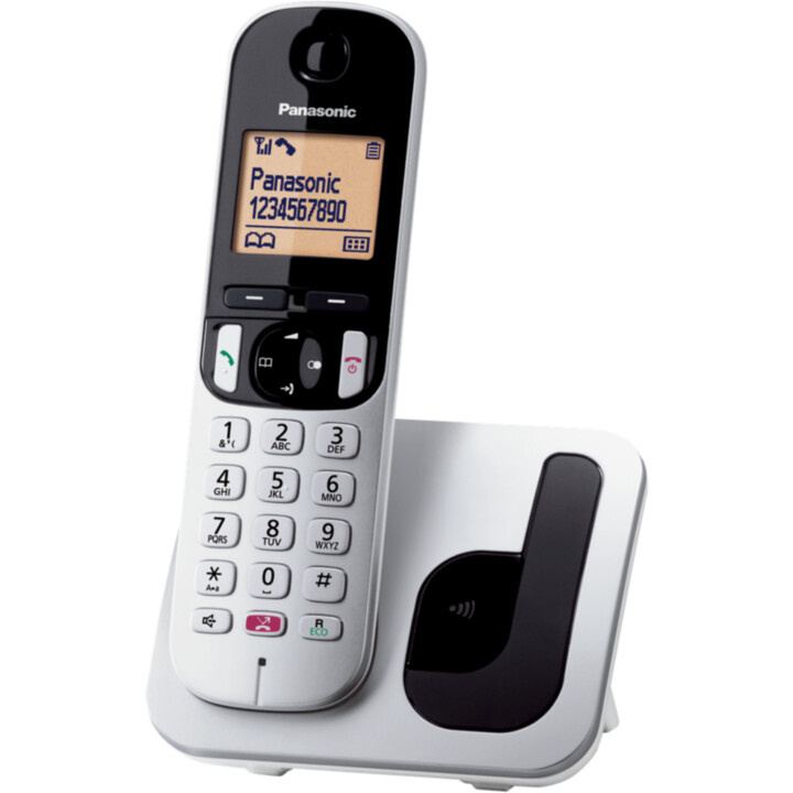 Panasonic Cordless Phone KX-TGC250SPS/ Silver