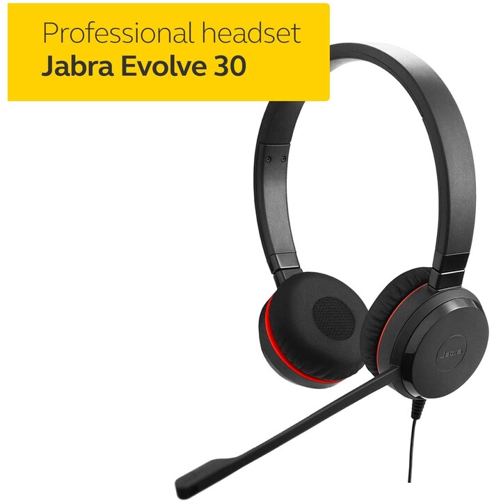 Jabra Evolve 30 II Duo USB Noir