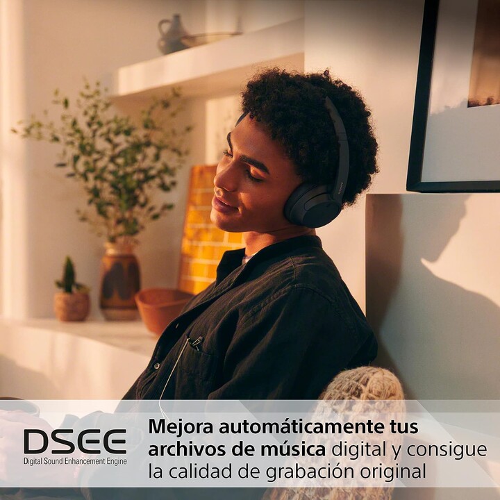 Wireless headphones ch-720n black