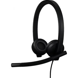 Logitech H570E Auriculares Estéreo USB Negro