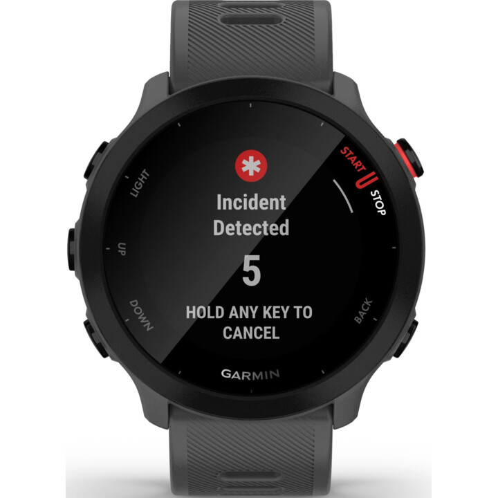 Garmin Forerunner 55 Monterra Cinza