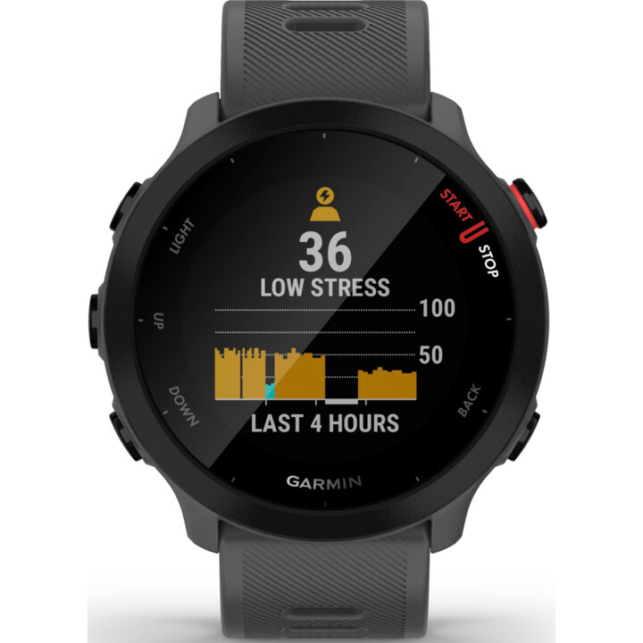 Garmin Forerunner 55 Monterra Cinza