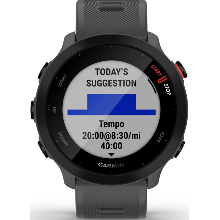 Garmin Forerunner 55 Monterra Cinza