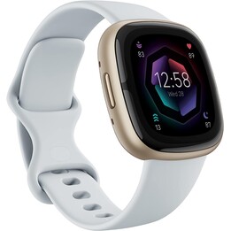 Fitbit Sense 2 Nebelblau Aluminium Gold
