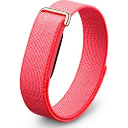 Google Fitbit Airberry