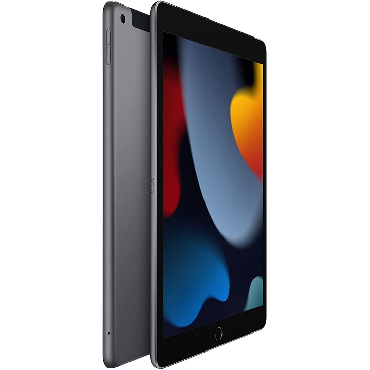 Apple iPad 10.2 2021 256Go 4G Gris Sidéral
