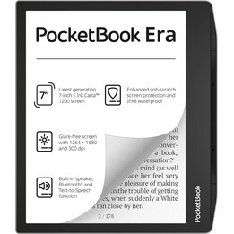 Pocketbook Stardust Silber