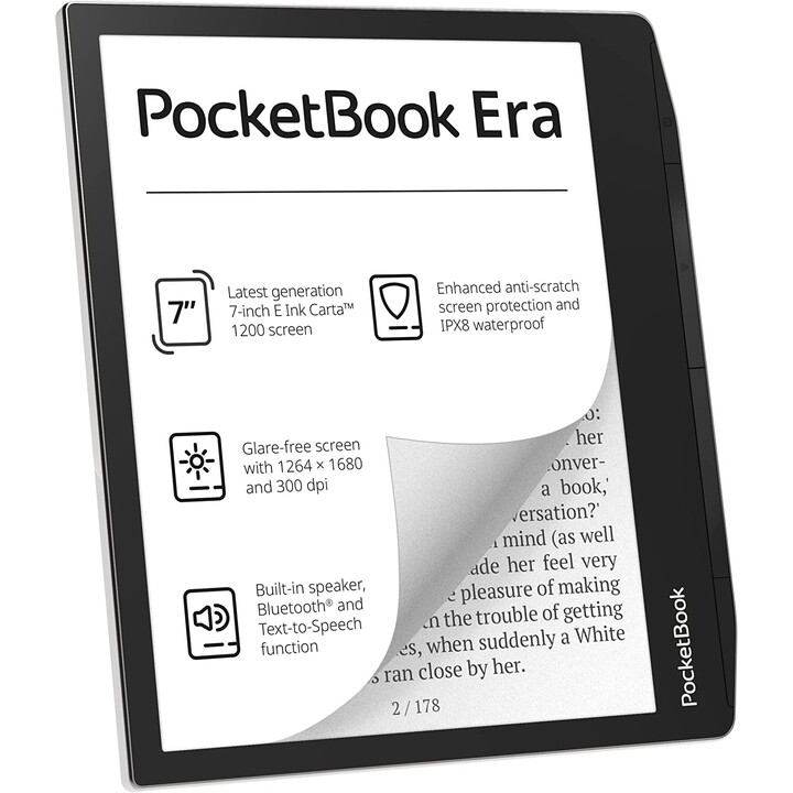 Pocketbook Stardust Silber
