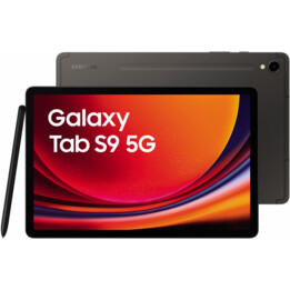 Samsung Galaxy Tab S9 X716 8GB 128GB 5G Gray