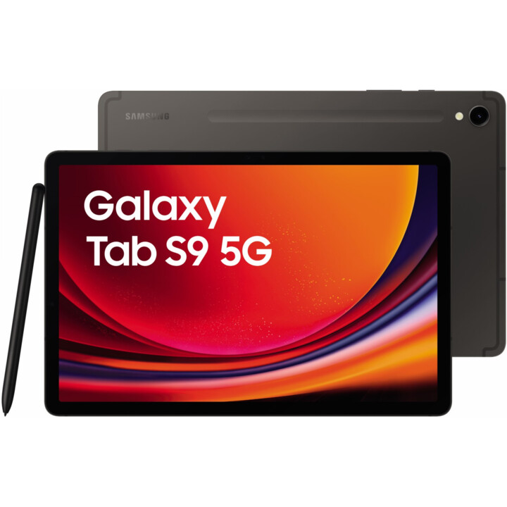 Samsung Galaxy Tab S9 X716 8GB 128GB 5G Gray