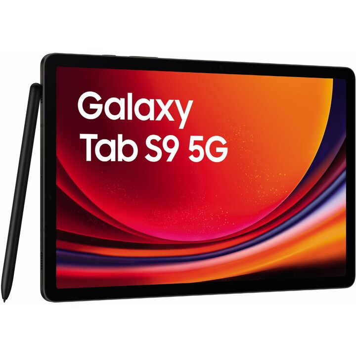 Samsung Galaxy Tab S9 X716 8GB 128GB 5G Gray