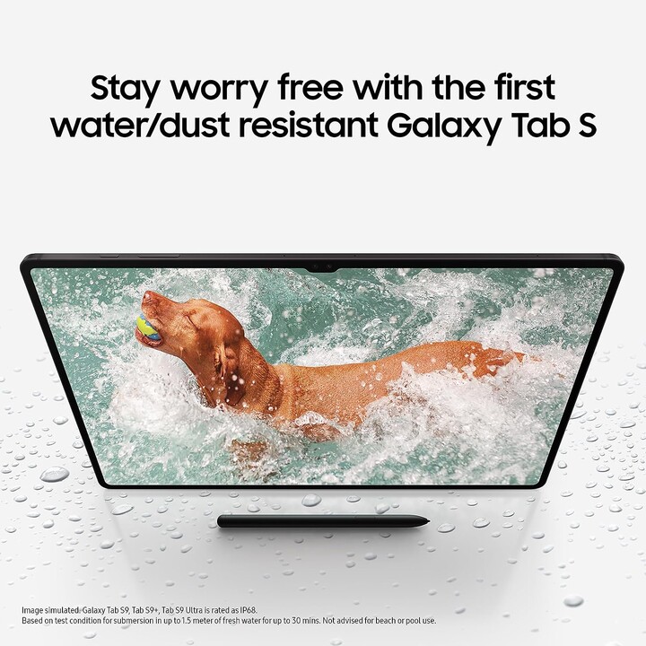 Samsung Galaxy Tab S9 X716 8GB 128GB 5G Gray