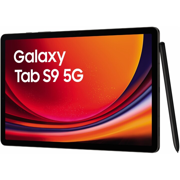 Samsung Galaxy Tab S9 X716 8GB 128GB 5G Gray