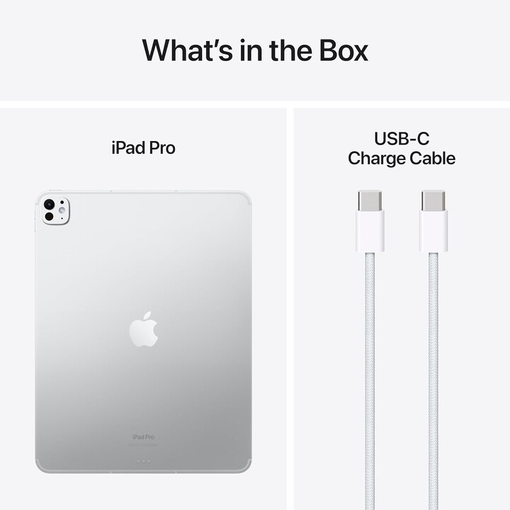 Apple iPad Pro 13 2024 256GB 5G Plata