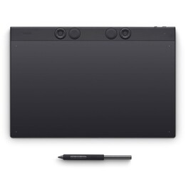Tavoletta grafica di grandi dimensioni WACOM Intous Pro