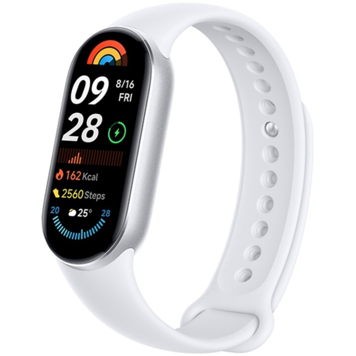 Xiaomi Mi Smart Band 9 Silver