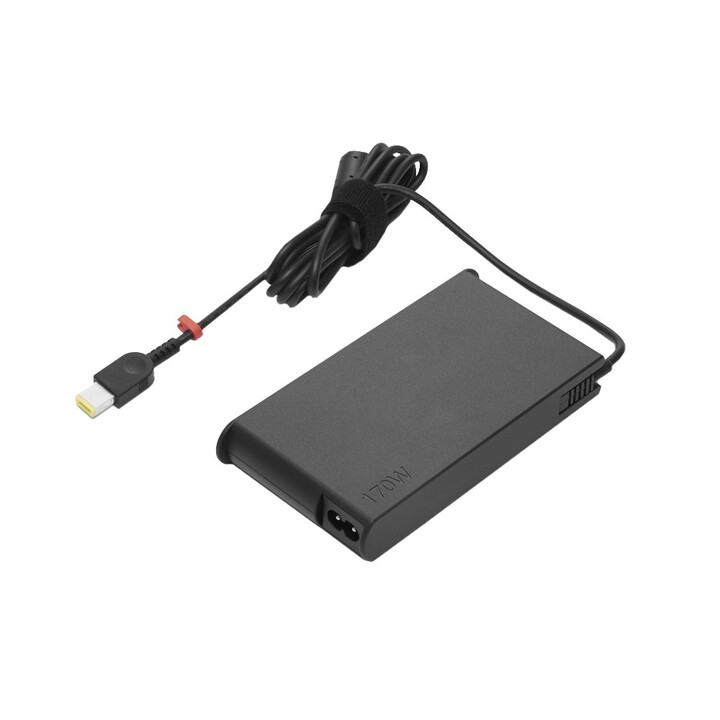 Lenovo GX20Z46287 adaptateur de puissance & onduleur Intérieure 170 W Noir