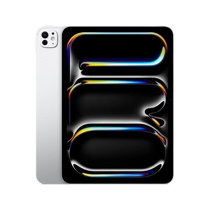 iPad Pro 11 pouces Wi-Fi + Cellular 512 Go Verre standard - Argent