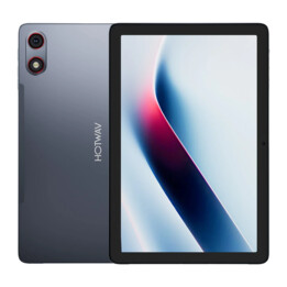 Hotwav Pad 13 Pro 4GB/256GB Gris