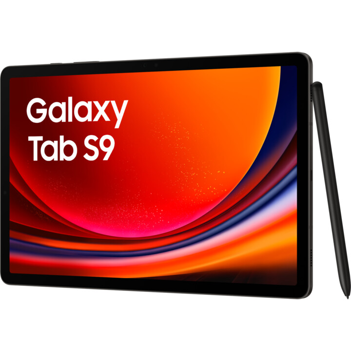 Samsung Galaxy Tab S9 X710 8Go 128Go WiFi Gris