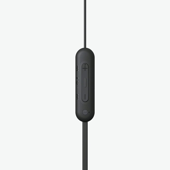 Sony WI-C100 Negro
