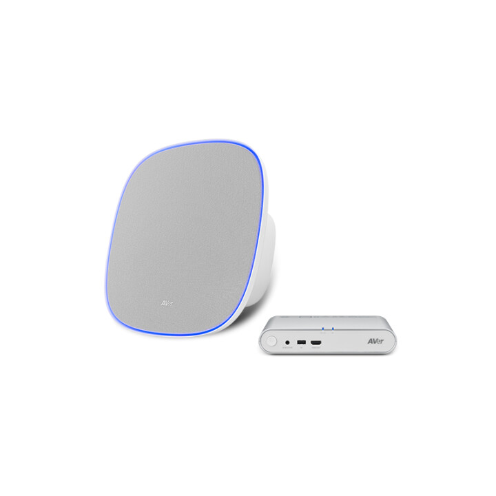 Aver Fone700 Haut-Parleur Gris