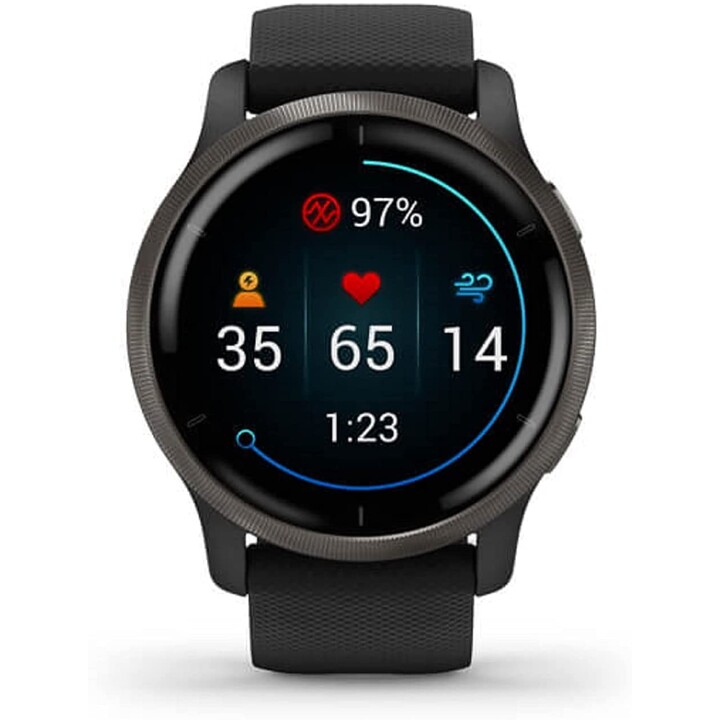 Garmin Venu 2 GPS Schwarz Schiefer