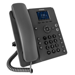 Sangoma Phone, P315, 2-Line SIP with HD Voice, Gigabit, 2.4 Inch Color Display**packed in cartons of Quantity 10. Pallets contai