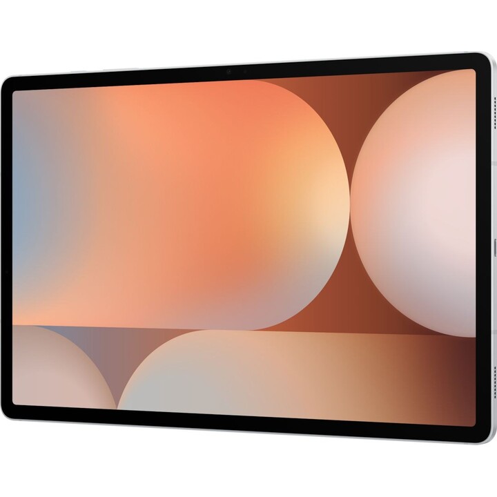 Samsung X826B Galaxy Tab S10+ 12,4 pouces 5G 512 Go (argent)