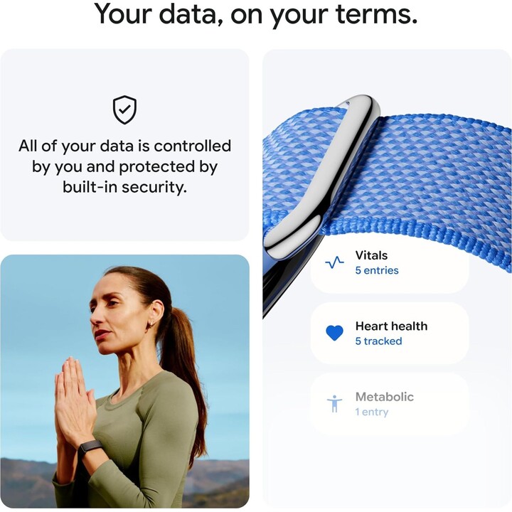 Relógio Google Fitbit Air - Fog