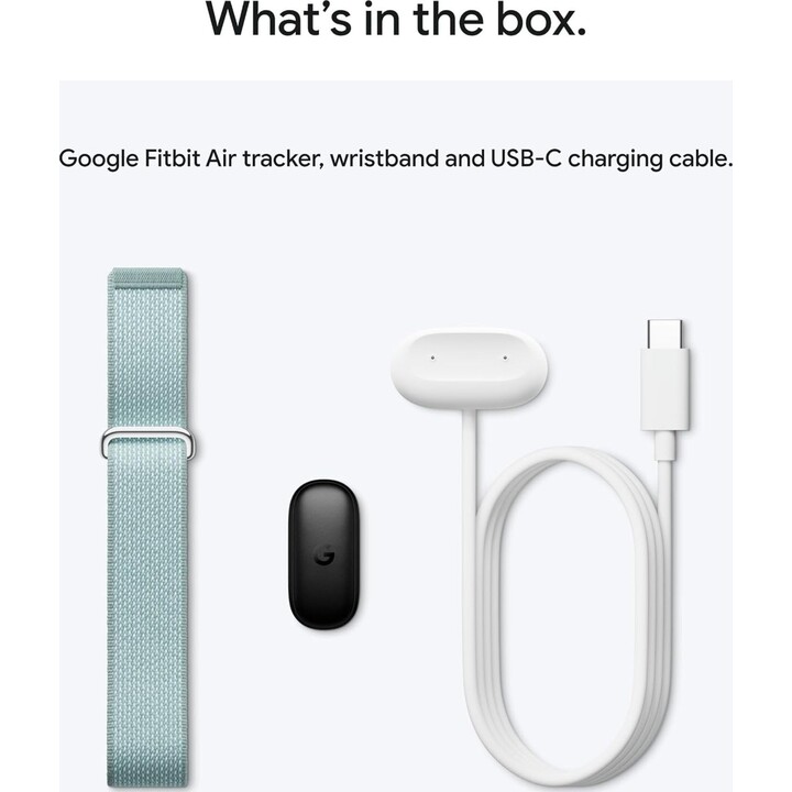Guarda Google Fitbit Air - Nebbia