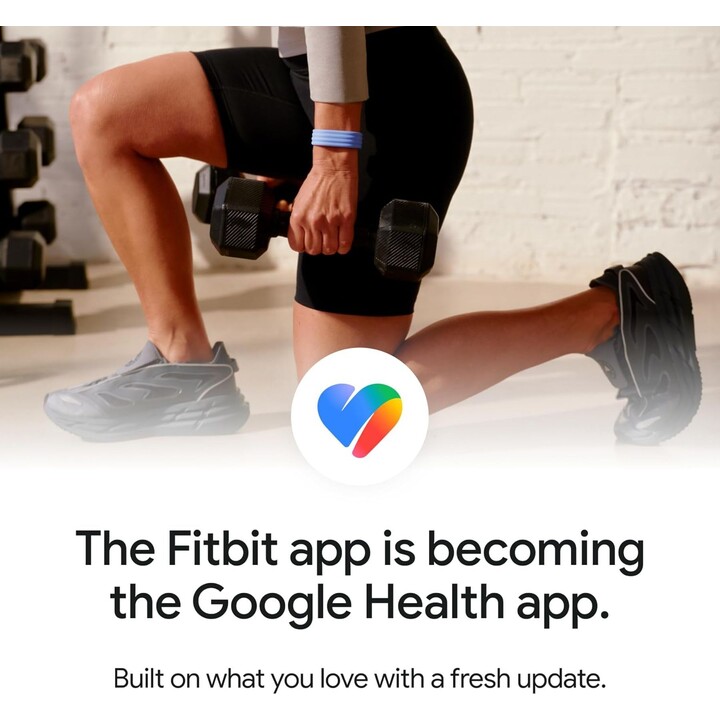 Relógio Google Fitbit Air - Fog