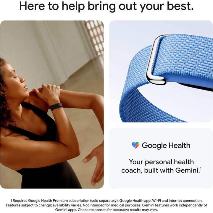 Guarda Google Fitbit Air - Nebbia