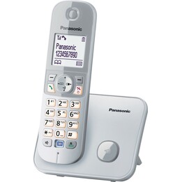 KX-TG6811GS argento perlato DECT