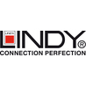 Lindy