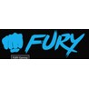 Fury Gaming
